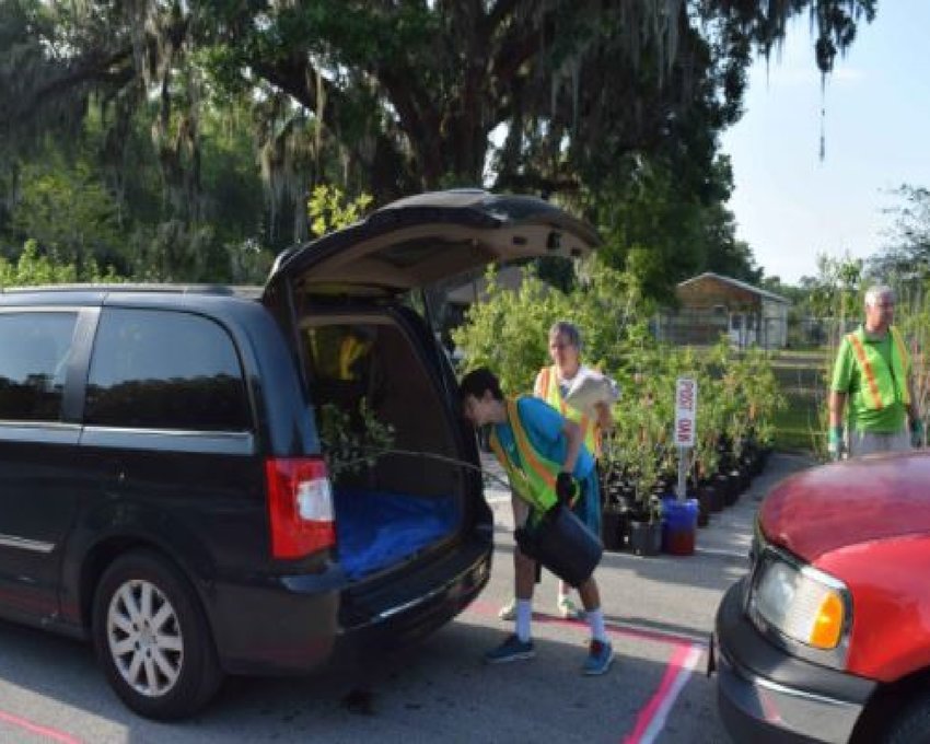 Reservations Open For DeLand Tree Giveaway WNDB News Daytona Beach